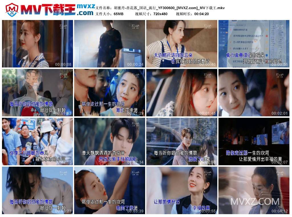 胡蜜丹-杏花落_国语_流行_YF300600